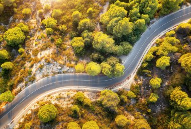 Yazın günbatımında, güzel yeşil ormandaki dolambaçlı yol manzarası. Ormandaki dağ yolunun en üst manzarası. Yolu olan renkli bir manzara, baharda ağaçlar. Lefkada, Yunanistan 'a seyahat et. Aktarım