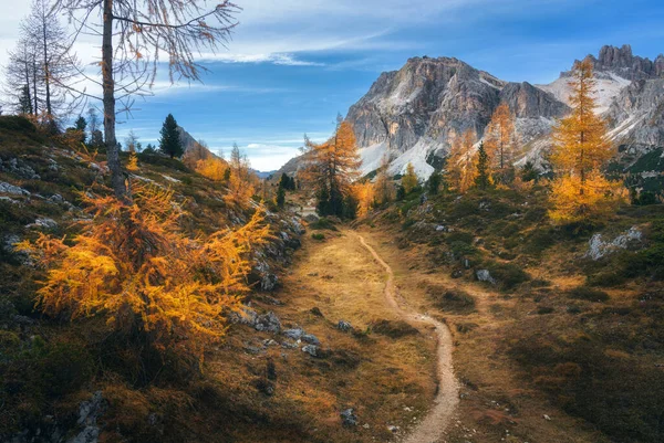 Beautiful orange trees and path in mountains at sunset. Autumn colors in Dolomites alps, Italy. Colorful landscape with forest, rocks, trail, yellow grass and sky with clouds. Hiking in mountains