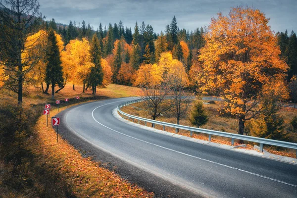 Road in autumn forest at sunset. Beautiful empty mountain roadway, trees with orange foliage, overcast sky. Landscape with road through the woods in fall. Travel in europe. Road trip. Transportation