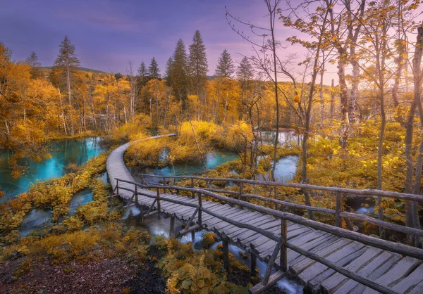 秋天日落时 克罗地亚普里特维茨湖橙色森林中的木径 五彩缤纷的风景 有楼梯在公园 水百合 粉红的天空在秋天 在树林里的小径自然 — 图库照片