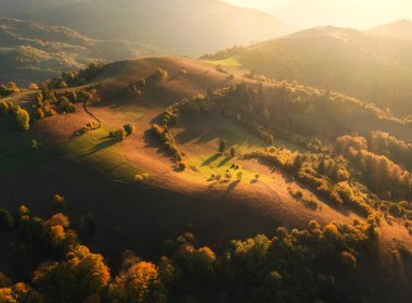 Tepelerdeki güzel portakal ağaçlarının ve Ukrayna 'da sonbaharda günbatımında sisli dağların havadan görünüşü. Sisli ormanları, çayırları, altın güneş ışığı olan renkli bir manzara. Sonbaharda orman. Üst Manzara. Doğa