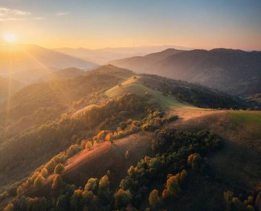 Tepelerdeki güzel portakal ağaçlarının ve Ukrayna 'da sonbaharda günbatımında sisli dağların havadan görünüşü. Sisli ormanları, çayırları, altın güneş ışığı olan renkli bir manzara. Sonbaharda orman. Üst Manzara. Doğa