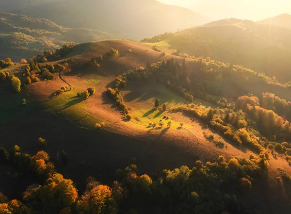 Tepelerdeki güzel portakal ağaçlarının ve Ukrayna 'da sonbaharda günbatımında sisli dağların havadan görünüşü. Sisli ormanları, çayırları, altın güneş ışığı olan renkli bir manzara. Sonbaharda orman. Üst Manzara. Doğa