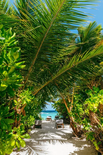 Тропический Рай Мальдивах Атолл Северный Мужчина — стоковое фото