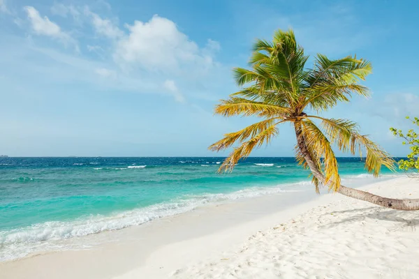 Идиллическая Пляжная Сцена Мальдивах Атолл Северный Мужчина — стоковое фото
