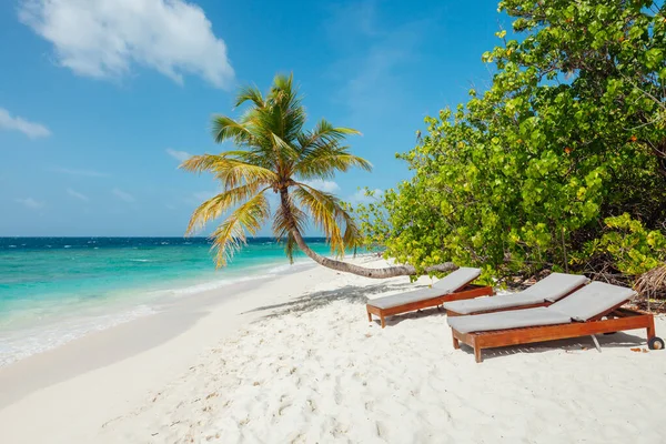 Idyllic Beach Scene Maldives North Male Atoll — стокове фото