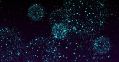 Hint Bayrağının Tanıtım Günü Kutlaması: 124- 26 Ocak 124- 15 Ağustos 124- Gandhi Jayanti