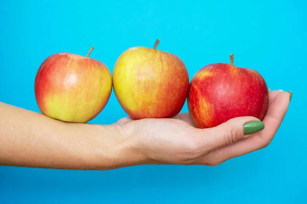 an apple in the palm of a woman\'s hand. the girl holds red apples on her hand with a blue background. three ripe apples on his hand. green manicure. horizontal image