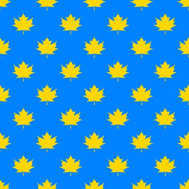 Sarı akçaağaç yapraklarının kusursuz deseni mavi arka planda. Yüzeye uygulama şablonu