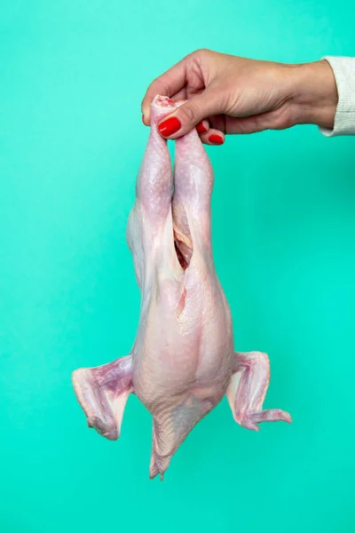 Bir kadının eli tavuk leşini tutar. Kırmızı manikür. Tavuk kızın elinde. Korkak. dikey görüntü. klasik oranlar