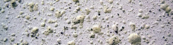 Hafif beton doku. Duvardaki desen. Siyah noktalı beyaz alçı. Bölgeye yerleştirme pankartı. seçici odak