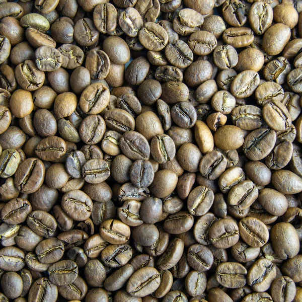 Rostade Kaffebönor Närbild Uppfriskande Dryck Kraftverksspecialist Fyrkantig Bild — Stockfoto