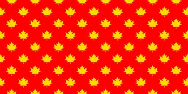pattern of yellow maple leaves on a red background. template for application to the surface. Banner for insertion into site.