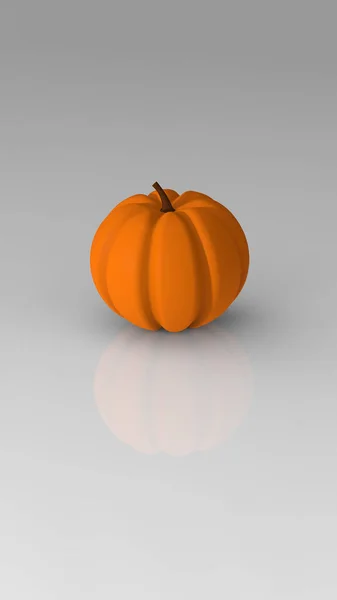 Pumpkin Insulated Gray Mirror Background Reflection Vertical Image Rendering Image — 스톡 사진