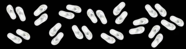 Many Women Summer White Slippers Black Background Slippers Horizontal Image — Zdjęcie stockowe