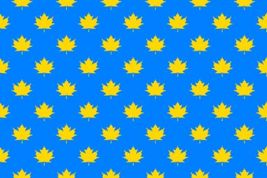 Mavi arka planda sarı akçaağaç yaprakları var. Yüzeye uygulama şablonu. Yatay resim.