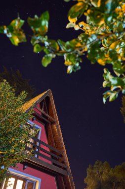 Yıldızlı bir gecede Alp evi