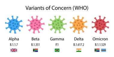Variants of Concern, illustrations of coronaviruses. WHO labels from the Greek alphabet: alpha, beta, gamma, delta and omicron, scientific labels (Pango lineage) and flags of the countries where they were first detected. clipart