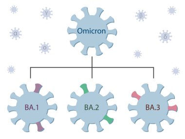 Omicron varyantı ve alt türleri B.1, Ba.2 ve B.3. Omicron genetik soy ağacı. İsimli Covid-19 virüs simgeleri. Yunanca alfa, beta, gama, delta harfleriyle uçan küçük virüsler..