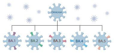 Omicron varyantı ve ana alt türleri B.1, BA.2, BA.3, BA.4 ve BA.5 Omicron genetik soy ağacı. İsimli Covid-19 virüs simgeleri. Yunanca alfa, beta, gama, delta harfleriyle uçan küçük virüsler..