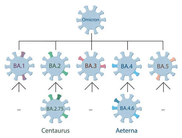 The new Omicron variants Centaurus BA.2.75 and Aeterna BA.4.6 are schematically represented on the Omicron genetic family  tree.Omicron variant and its main subtypes. Icons of Covid-19 viruses with names. 