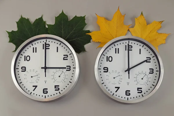 两个钟 一个显示两点钟 另一个显示三点钟 时间的象征从夏天到冬天都在变化 夏天的绿叶 冬天的黄叶 向后移动箭头 — 图库照片