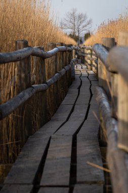 Kırsalda ahşap bir köprü 