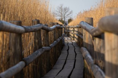 Kırsalda ahşap bir köprü 
