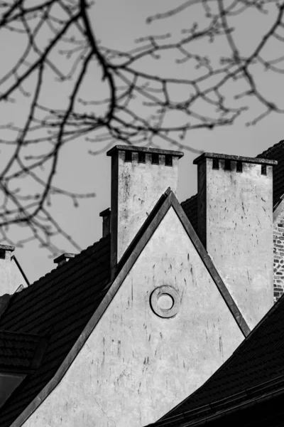 Pousse Noir Blanc Une Architecture Vieille Ville — Photo