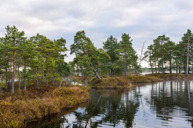 nehir üzerinde güzel gün batımı 