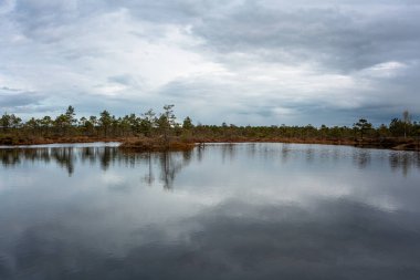 beautiful landscape with a river and cloudy sky 