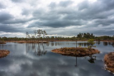 beautiful landscape with a river and cloudy sky 