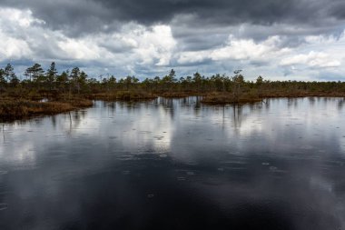 Nehir ve bulutlu gökyüzü ile güzel bir manzara. 