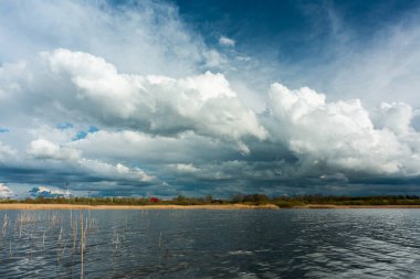 Yazın güzel nehir manzarası 