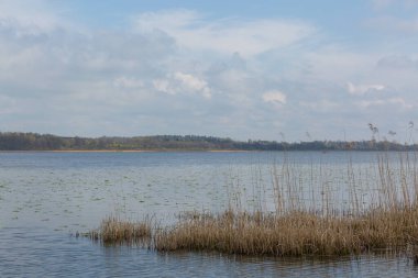 Yazın güzel nehir manzarası 