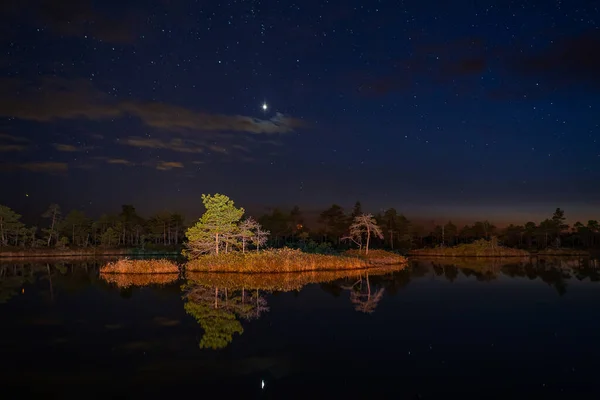 Beautiful Night Sky Stars Trees River — Stock Photo, Image