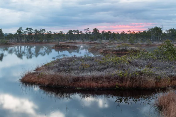 Beautiful Sunset River — Stock Photo, Image