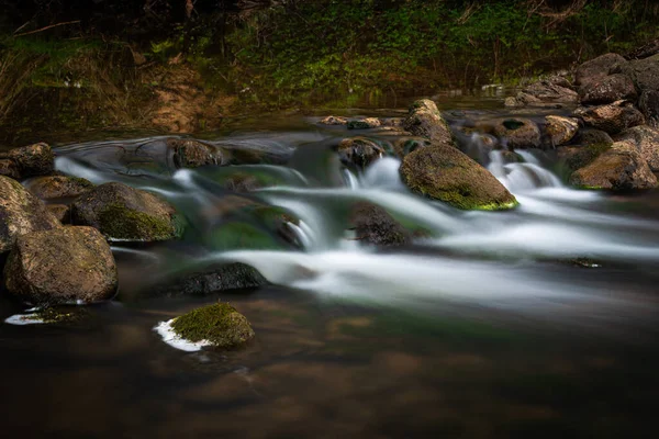 Waterfall Forest — Stock Photo, Image