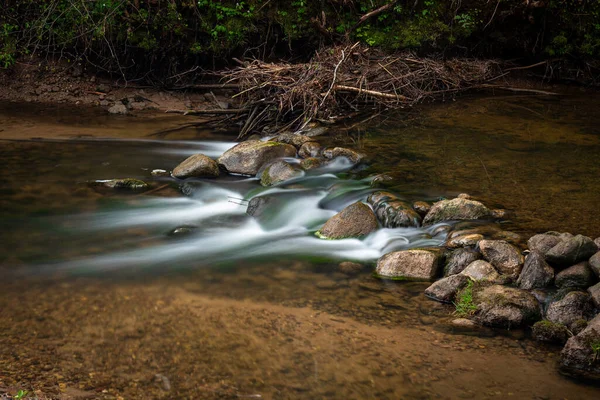 Mały Wodospad Lesie Piękny Krajobraz Naturalny — Zdjęcie stockowe