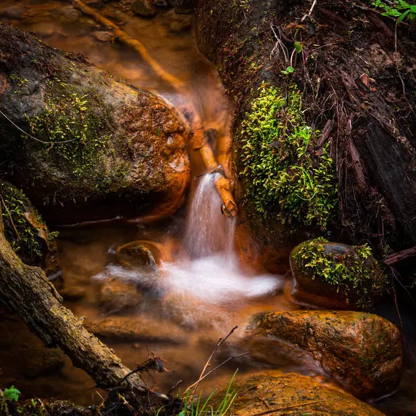 Mountain River Flowing Forest Summer Time — Fotografia de Stock