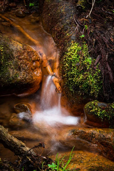 Mountain River Flowing Forest Summer Time — Stock Photo, Image