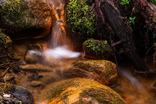 Mountain River Flowing Forest Summer Time — Fotografia de Stock