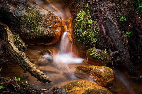 Cachoeira Montanha Floresta — Fotografia de Stock