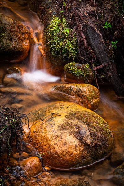 Cachoeira Montanha Floresta — Fotografia de Stock