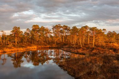 Gölde sonbahar sabahı 