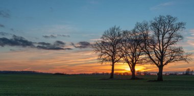 beautiful view of green grass and sunset 