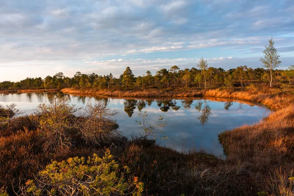 Mañana Otoño Lago — Foto de Stock