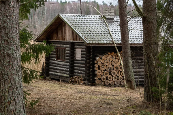 Vieille Maison Bois Dans Forêt — Photo