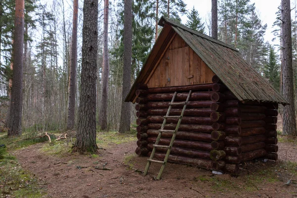 Старый Деревянный Дом Лесу — стоковое фото