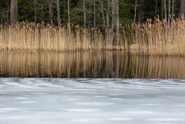 Winter Landscape River White Snow — Foto de Stock